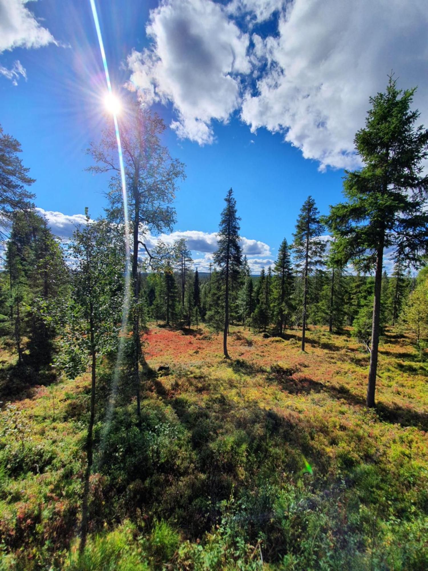 Hietavilla Borealis Ruka Exteriör bild